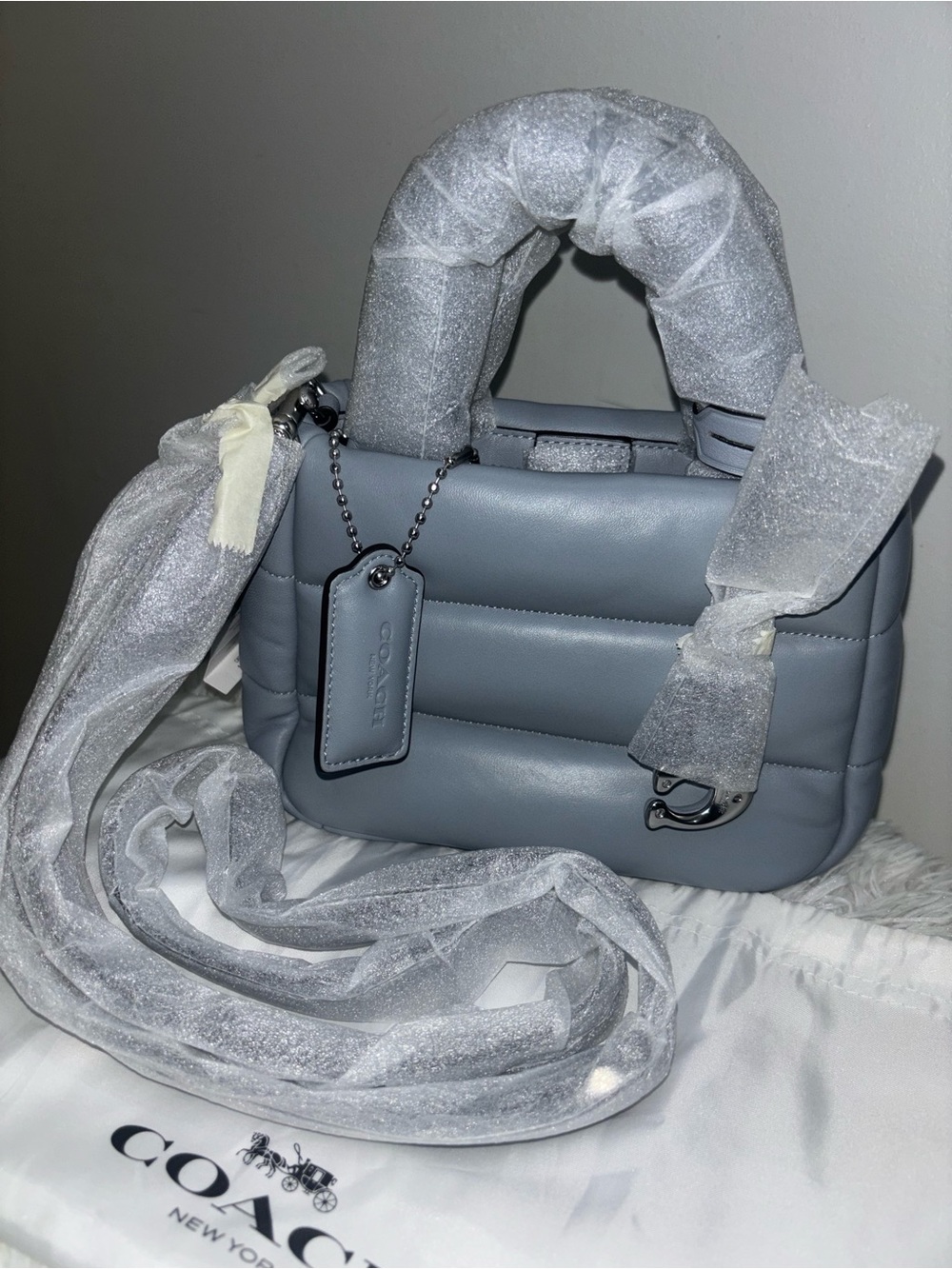 Coach mini pillow tote
